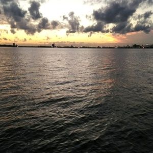 Meet your Posher, Stella